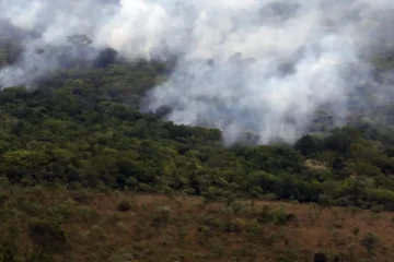 Emissões globais de carbono por incêndios atingem menor nível em 24 anos, aponta Copernicus