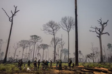 Congresso amplia debate sobre mudanças em áreas protegidas e especialistas alertam para riscos à conservação ambiental