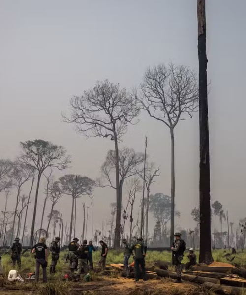 Congresso amplia debate sobre mudanças em áreas protegidas e especialistas alertam para riscos à conservação ambiental