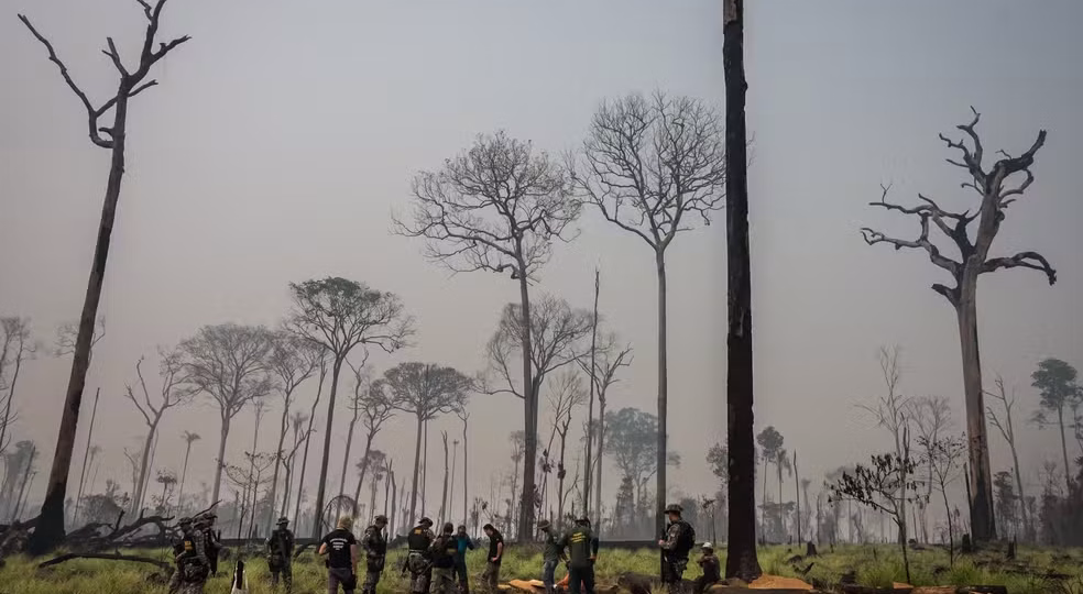 Congresso amplia debate sobre mudanças em áreas protegidas e especialistas alertam para riscos à conservação ambiental