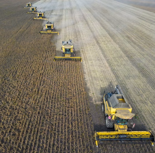 Super El Niño pode provocar alta global dos preços dos alimentos até 2028, alertam economistas