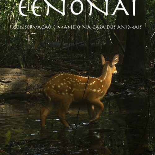 Documentário registra saber ancestral do povo Baniwa sobre manejo da fauna e alerta para impactos da crise climática na Amazônia