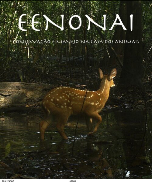 Documentário registra saber ancestral do povo Baniwa sobre manejo da fauna e alerta para impactos da crise climática na Amazônia