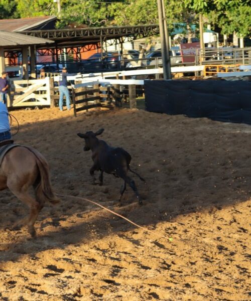 Rio Branco inaugura Circuito Municipal de Esportes Equestres e fortalece tradição do campo na capital acreana