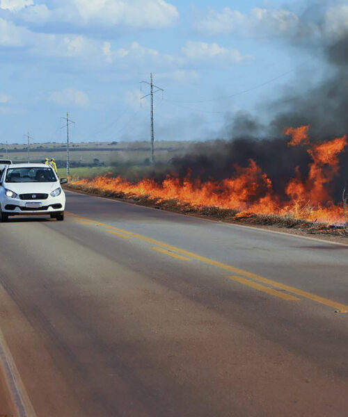 Período de estiagem exige atenção redobrada para prevenir incêndios florestais no Tocantins