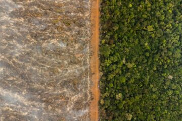 ISA e Atix-Mulher conquistam Prêmio MapBiomas por projeto de monitoramento indígena no Xingu