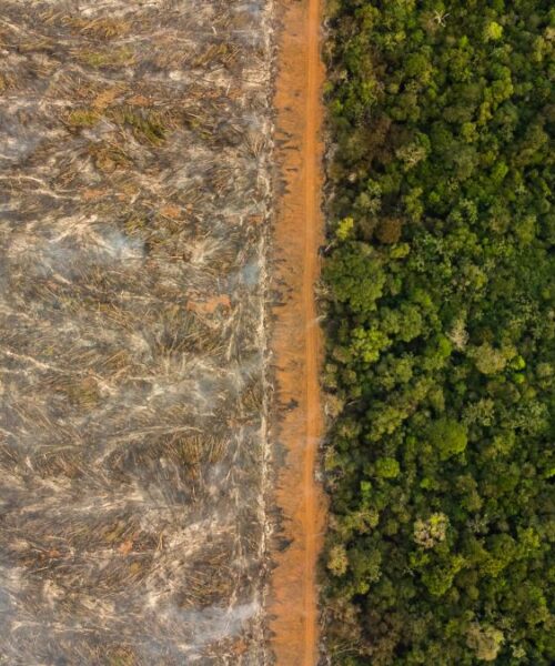 ISA e Atix-Mulher conquistam Prêmio MapBiomas por projeto de monitoramento indígena no Xingu
