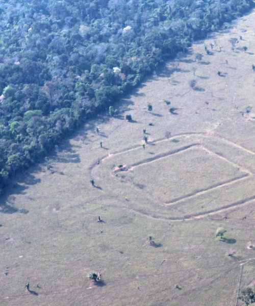 Sobrevoos no Acre ampliam descoberta de geoglifos ocultos na Amazônia