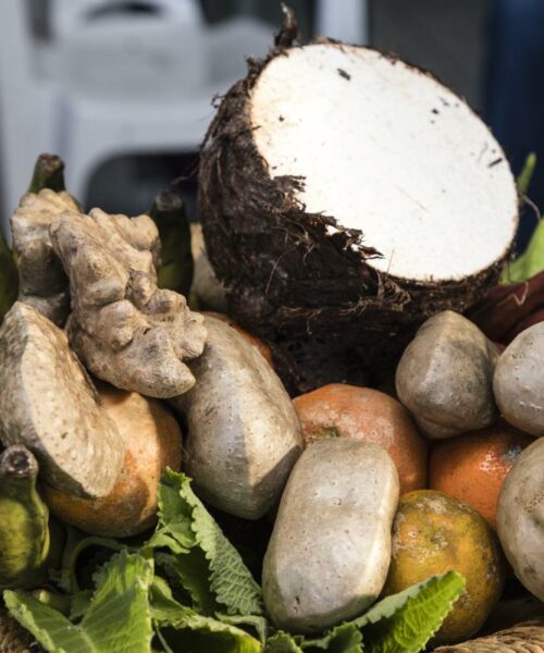 Nova norma amplia participação de povos tradicionais na alimentação escolar e fortalece produção local