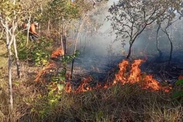 Incêndio florestal em Taquaruçu mobiliza Defesa Civil e reforça alerta para riscos da estiagem