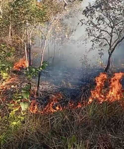 Incêndio florestal em Taquaruçu mobiliza Defesa Civil e reforça alerta para riscos da estiagem
