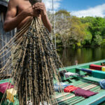 Programa conecta negócios da bioeconomia amazônica a investidores e mercados com foco em demandas reais