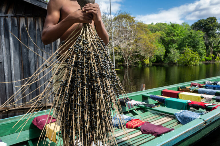 Programa conecta negócios da bioeconomia amazônica a investidores e mercados com foco em demandas reais