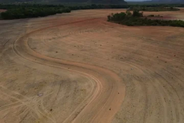 Fim da Moratória da Soja pode ampliar desmatamento na Amazônia em 1,4 milhão de hectares