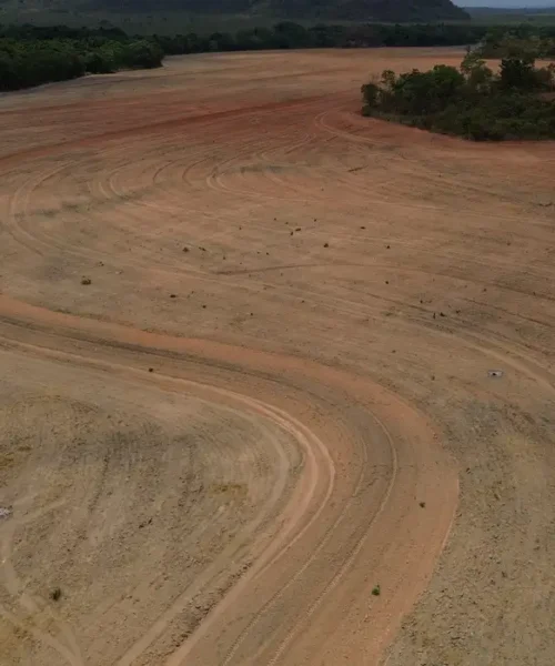 Fim da Moratória da Soja pode ampliar desmatamento na Amazônia em 1,4 milhão de hectares