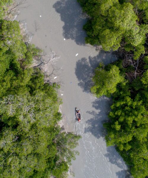 Julho Verde mobiliza comunidades tradicionais em defesa dos manguezais amazônicos