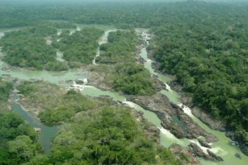 Senado aprova projeto que reduz área de floresta protegida no Pará e flexibiliza punições ambientais