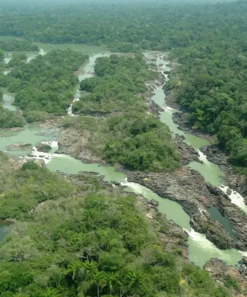 Senado aprova projeto que reduz área de floresta protegida no Pará e flexibiliza punições ambientais