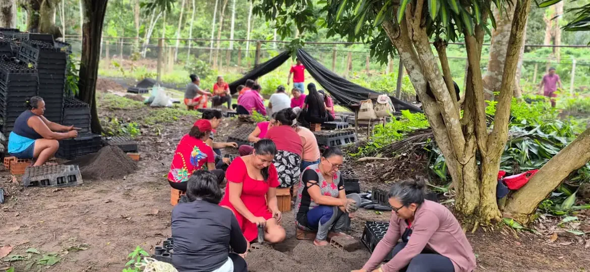 Mulheres da Amazônia lideram iniciativas para enfrentar os impactos das mudanças climáticas