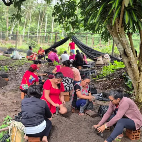 Mulheres da Amazônia lideram iniciativas para enfrentar os impactos das mudanças climáticas