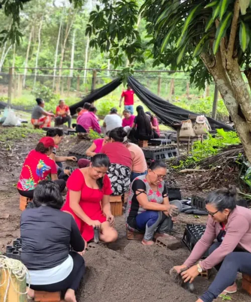 Mulheres da Amazônia lideram iniciativas para enfrentar os impactos das mudanças climáticas