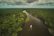 FAS promove debate gratuito sobre desmatamento zero e ação climática na Amazônia