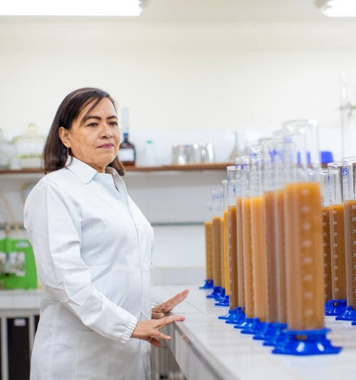 Pesquisadora do INPA recebe Prêmio Fundação Bunge por trajetória dedicada à agricultura familiar e aos povos indígenas