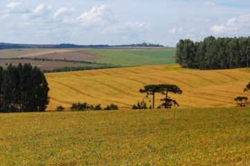 Super El Niño, Coalizão Brasil aponta quatro medidas para preparar agricultura para extremos climáticos