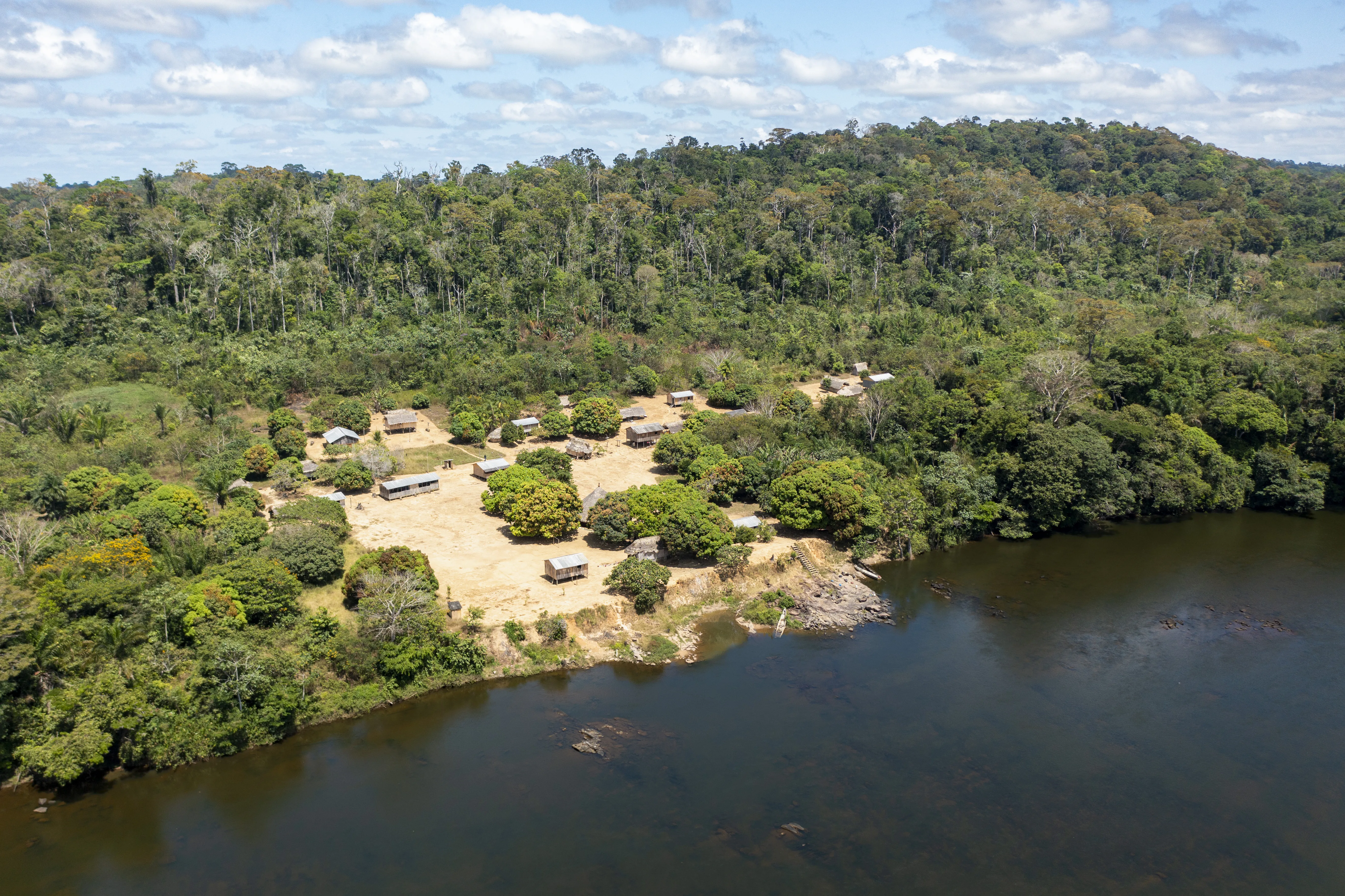 Imazon e Ufopa firmam parceria para ampliar monitoramento da biodiversidade no norte do Pará