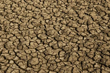 Desertificação ameaça 39 milhões de brasileiros e avança sobre 18% do território nacional