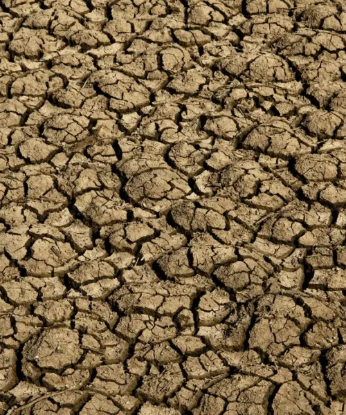 Desertificação ameaça 39 milhões de brasileiros e avança sobre 18% do território nacional