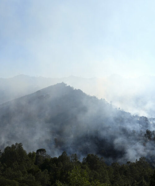 Incêndios florestais elevam emissões de carbono a níveis extremos em diferentes regiões do planeta
