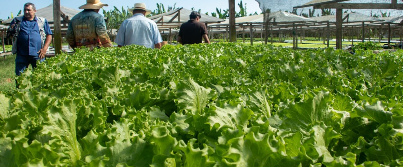 Agricultura familiar ganha força em Rio Branco com mecanização, insumos e apoio à comercialização