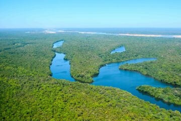 Tocantins reforça ações preventivas em unidades de conservação para enfrentar período de estiagem