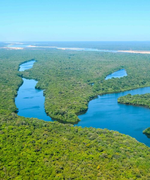 Tocantins reforça ações preventivas em unidades de conservação para enfrentar período de estiagem