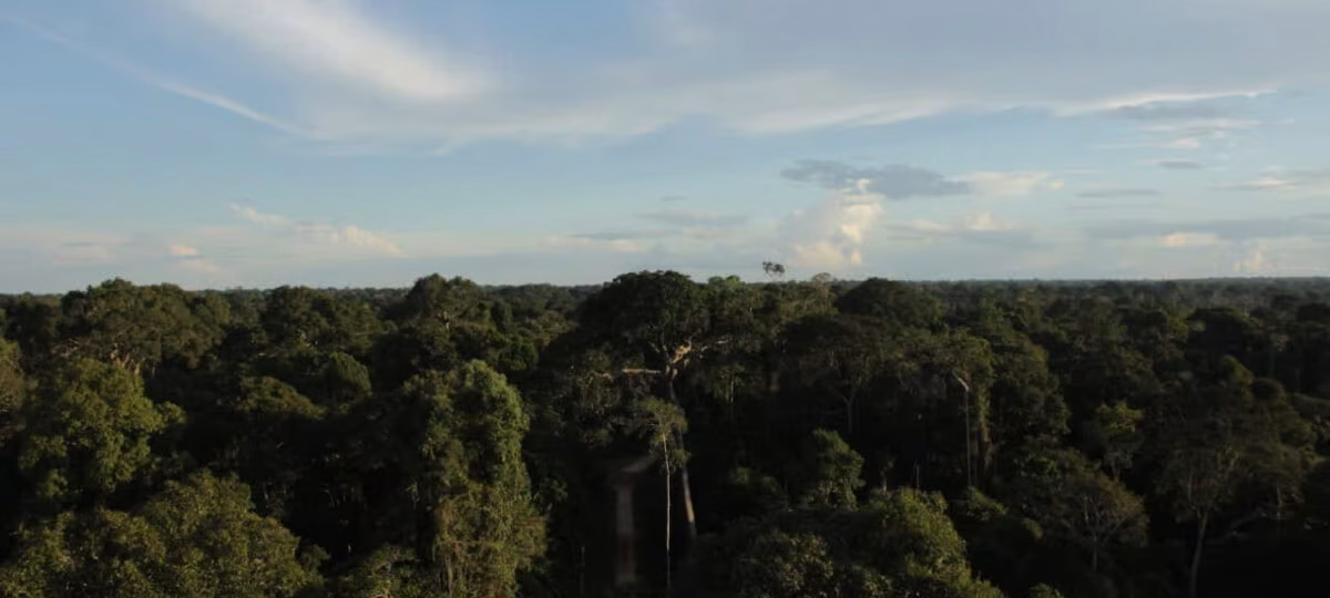 Sema cria grupo de trabalho para definir regras de acesso à energia na Floresta Estadual do Antimary