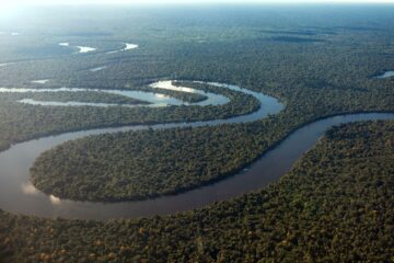 Plataforma conecta desafios da Amazônia a startups e pesquisadores em busca de soluções tecnológicas