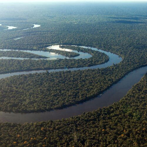 Plataforma conecta desafios da Amazônia a startups e pesquisadores em busca de soluções tecnológicas