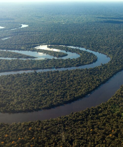 Plataforma conecta desafios da Amazônia a startups e pesquisadores em busca de soluções tecnológicas