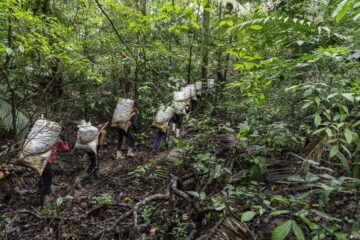 Plano Nacional de Logística inclui sociobioeconomia e prevê investimentos para comunidades da Amazônia