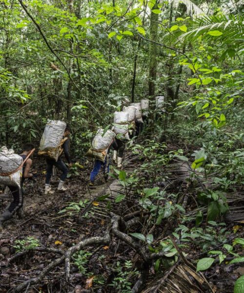 Plano Nacional de Logística inclui sociobioeconomia e prevê investimentos para comunidades da Amazônia