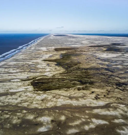 Projetos no Congresso colocam 1,7 milhão de hectares de unidades de conservação sob risco de redução ou extinção
