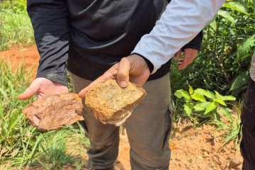 Pesquisadores identificam 16 elementos de terras raras em área de 120 mil hectares em Roraima
