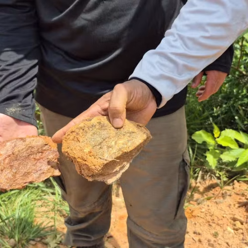 Pesquisadores identificam 16 elementos de terras raras em área de 120 mil hectares em Roraima
