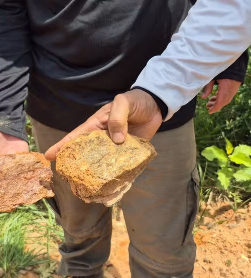 Pesquisadores identificam 16 elementos de terras raras em área de 120 mil hectares em Roraima