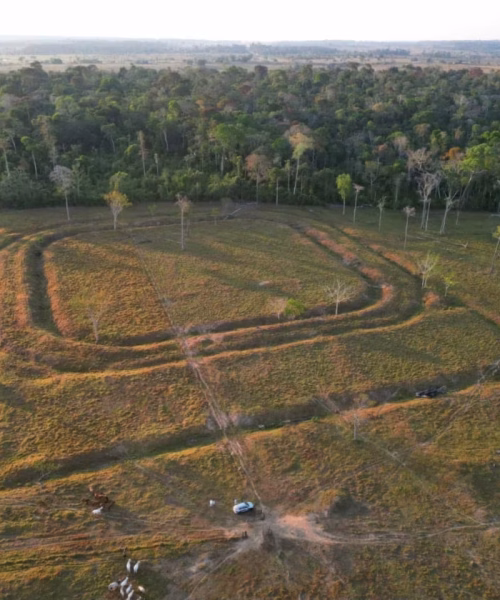 Acre cria novas regras para proteger mais de mil geoglifos e sítios arqueológicos