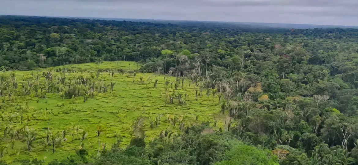 60% das Terras Indígenas da Amazônia não registraram desmatamento em um ano, aponta Imazon