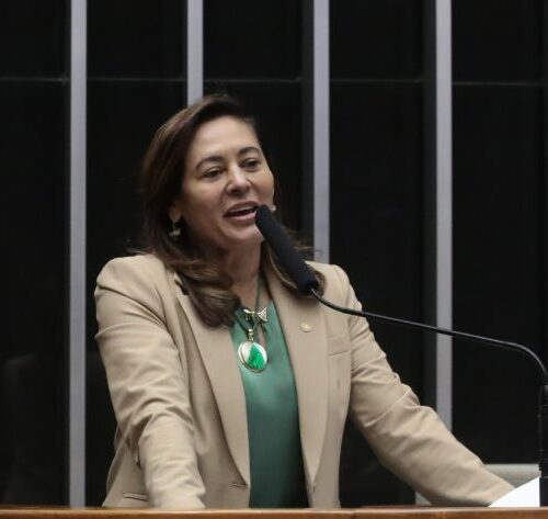 Comissão da Câmara aprova intérprete de línguas indígenas em atendimentos públicos e processos judiciais