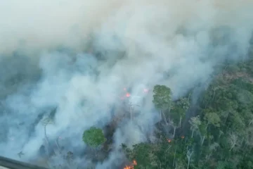 Pará decreta alerta climático preventivo diante do risco de El Niño, seca e queimadas