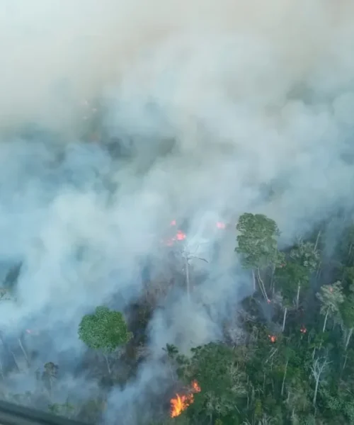 Pará decreta alerta climático preventivo diante do risco de El Niño, seca e queimadas